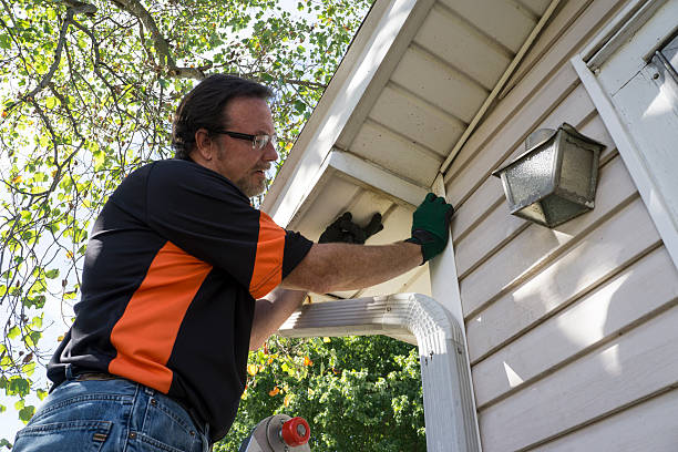 Best Shed Removal  in USA